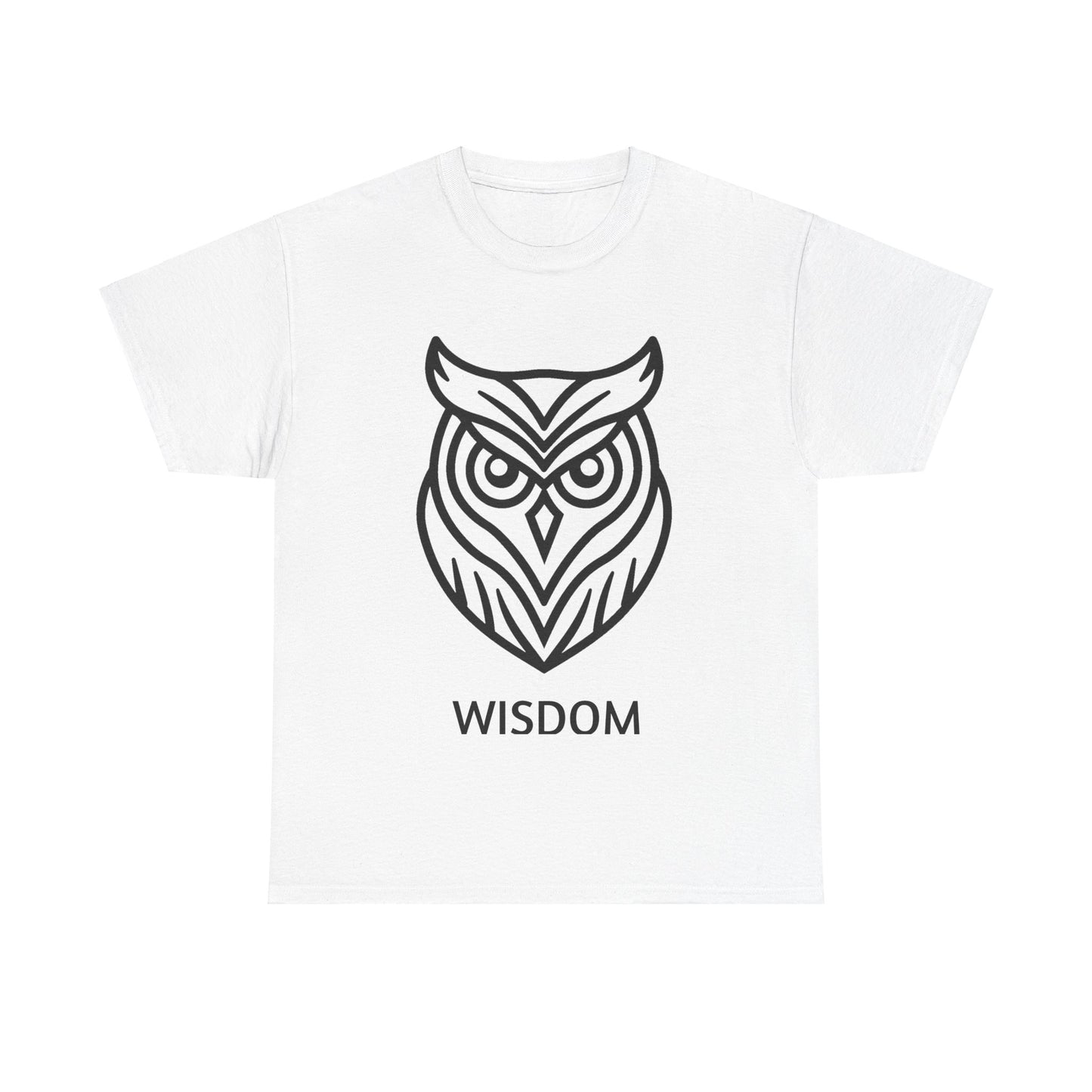 owl spirit animal